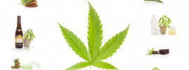 Marijuana leaf and marijuana products, CannaLinq Cannabis Legal News Blog