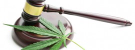 cannabis leaf and judge gavel: CannaLinq Cannabis Legal News Blog