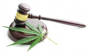 cannabis leaf and judge gavel: CannaLinq Cannabis Legal News Blog